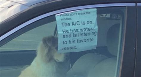 ‘Don’t break the window, the AC is on’ memes are。